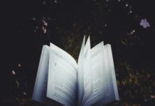 poesiefestival Berlin / Kulturforum Berlin