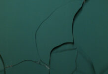 Björn Kämmerer – TEAL – Festival des Cinémas différents / Kulturforum Paris