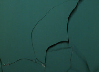 Björn Kämmerer – TEAL – Festival des Cinémas différents / Cultural Forum Paris