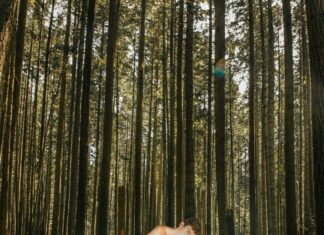 MORAG YOU’RE A LONG TIME DEID / Cultural Forum Ottawa