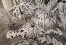 Parasitical Symbiosis / Österreichische Botschaft Tallinn