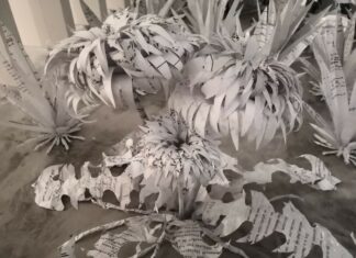 Parasitical Symbiosis / Austrian Embassy Tallinn