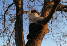 Marlen Haushofer: Die Wand / Kulturforum Prag