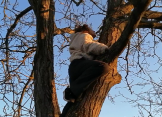 Marlen Haushofer: Die Wand / Kulturforum Prag