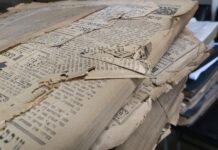 Science and Culture in Conversation / Cultural Forum Berlin