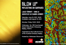 Lukas Pürmayr & Wang Ai / Cultural Forum Beijing