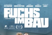 Fuchs im Bau / Kulturforum New Delhi