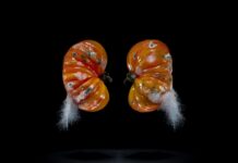 TOUCH NATURE / Cultural Forum Rome