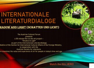 Schatten & Licht / Kulturforum New Delhi