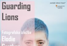 Guarding Lions- Fotografieausstellung von Elodie Grethen / Kulturforum Sarajevo