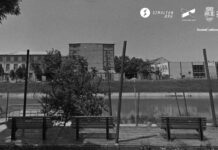 Syntopia: Bega / Kulturforum Bukarest