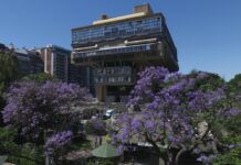 Bibliothek unter den Bäumen / Botschaft Buenos Aires