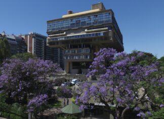Bibliothek unter den Bäumen / Botschaft Buenos Aires