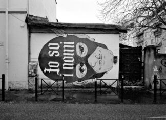 WISSEN.SAPERE | Cornelia Mittendorfer / Kulturforum Rom