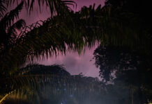 Borjana Ventzislavova – „We/re Nature“ / Botschaft Sofia