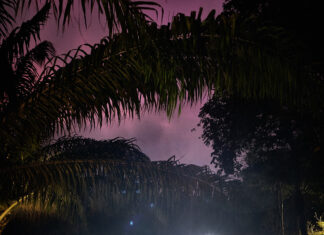 Borjana Ventzislavova – „We/re Nature“ / Botschaft Sofia