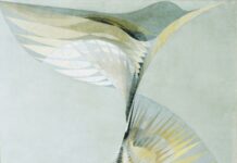 Bird Flight / Kulturforum Mailand