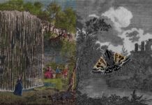 Christian Kosmas Mayer / Kulturforum Bern