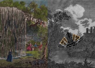 Christian Kosmas Mayer / Kulturforum Bern