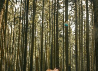 „MORAG YOU’RE A LONG TIME DEID“ / Kulturforum Ottawa