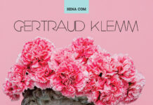 Getraud Klemm – „Hippocampus“ / Kulturforum Zagreb