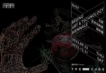 „Synthetic Ecology“ im 798 CUBE Art / Kulturforum/OSTA Peking