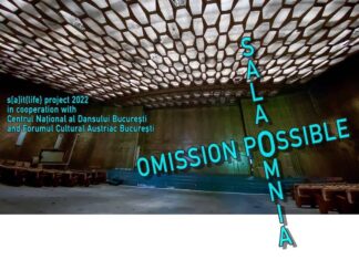 „Omission Possible“ beim Nationalen Theaterfestival / Kulturforum Bukarest