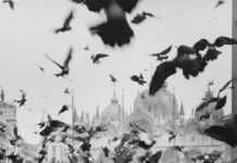 Ausstellung Inge Morath / Kulturforum Mailand