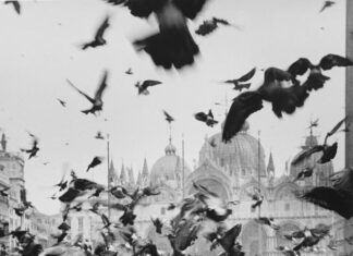 Ausstellung Inge Morath / Kulturforum Mailand