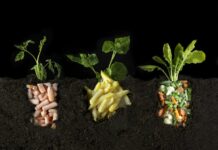 In Conversation: sustainable | FOOD | art / Kulturforum London
