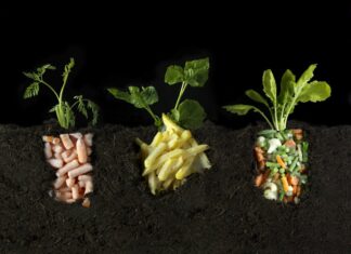 In Conversation: sustainable | FOOD | art / Kulturforum London