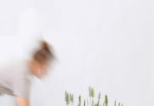 Bratislava Design Week / Kulturforum Bratislava