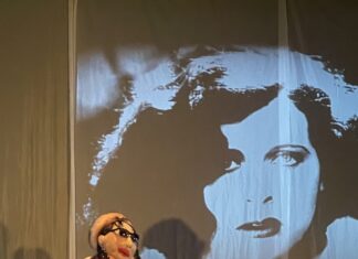 Puppet Festival in Bengaluru / Kulturforum New Delhi