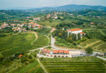 Austrian Art Embassy in Slovenia / Kulturforum Laibach