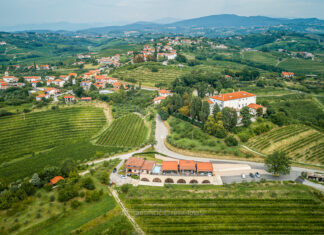 Austrian Art Embassy in Slovenia / Kulturforum Laibach