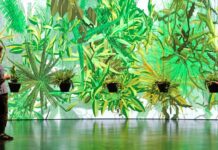 The Artwork As A Living System / Kulturforum Brüssel