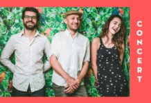 Birds Against Hurricanes / Kulturforum Washington