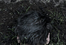 Touch Nature / Kulturforum Bratislava