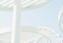 Dedicated / Kulturforum Rom