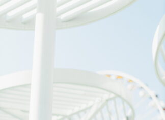 Dedicated / Kulturforum Rom