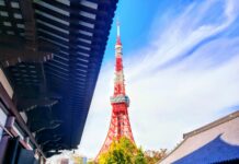Tokyo Tower Arts Festival / Kulturforum Tokio