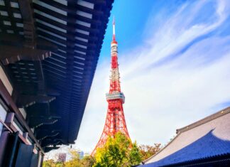 Tokyo Tower Arts Festival / Kulturforum Tokio