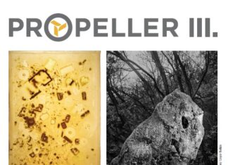 PROPELLER III – Foto- und Medienkunst aus österreichischen und ungarischen Kunsthochschulen / Kulturforum Budapest