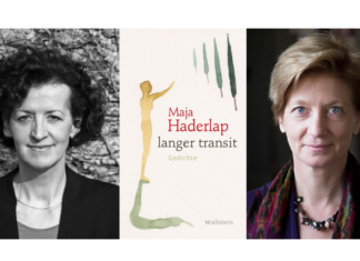 Lesung & Gespräch mit Maja Haderlap und Tess Lewis / Kulturforum London