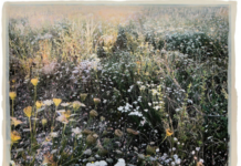 Ausstellung: Künstlerinnenkollektiv fiVe / Kulturforum Paris