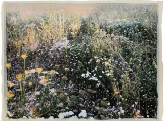 Ausstellung: Künstlerinnenkollektiv fiVe / Kulturforum Paris