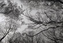 SECOND STOP – POINTS OF VIEW / Kulturforum Bratislava