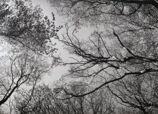 SECOND STOP – POINTS OF VIEW / Kulturforum Bratislava