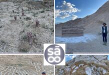 Kunst, Kultur und Klima in Ladakh / Kulturforum New Delhi