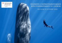 Chenini Film Festival / Botschaft Tunis